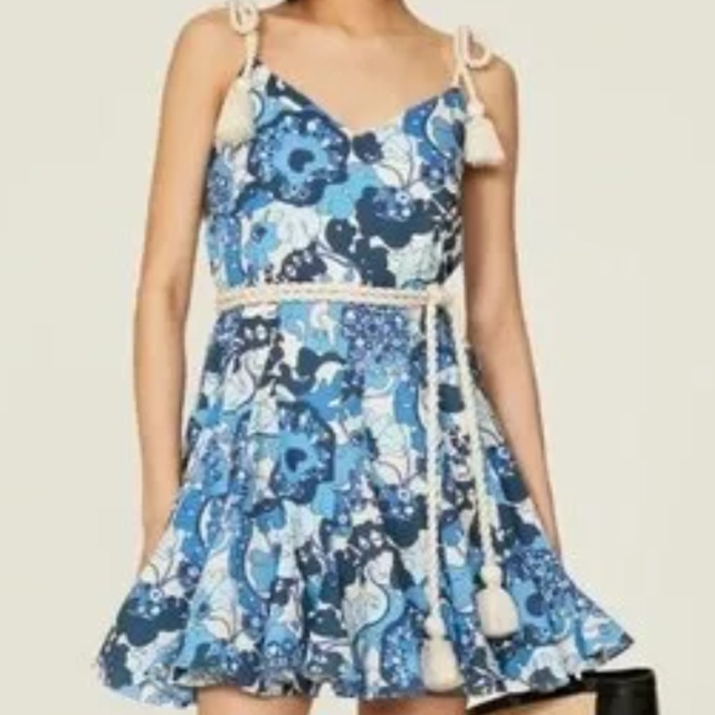 Rhode Blue Floral Mini Dress